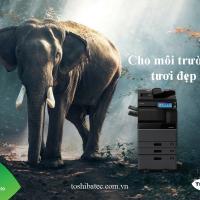 bảo vệ môi trường sống xung quanh